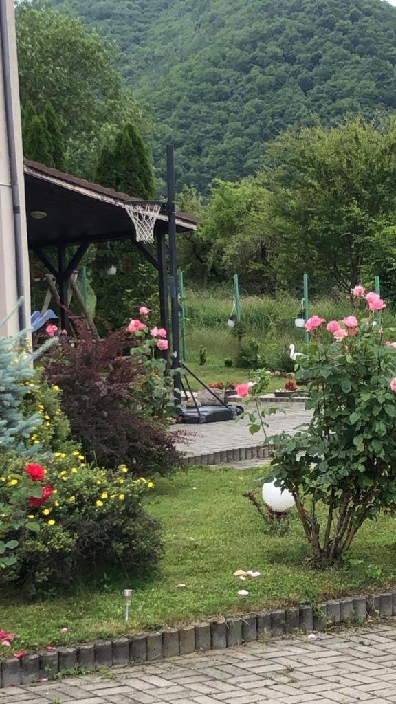 Pensiunea Casa Cu Flori 西斯纳迪奥拉 外观 照片