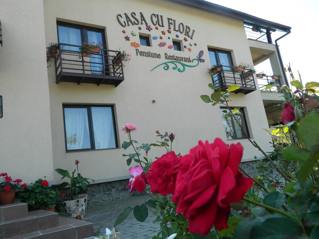 Pensiunea Casa Cu Flori 西斯纳迪奥拉 外观 照片